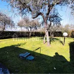 3-room flat via di Ronchi, Colle di Compito - Castelvecchio, Capannori