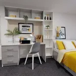 Rent 1 bedroom apartment in Sheffield