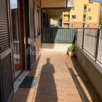 Rent 3 bedroom apartment of 78 m² in Perugia