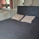 Rent 2 bedroom apartment of 50 m² in Poznan