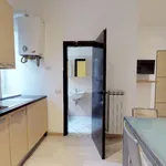 Rent 1 bedroom apartment of 45 m² in Milano