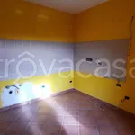 Rent 5 bedroom apartment of 116 m² in Carmagnola