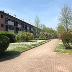 Rent 3 bedroom apartment of 94 m² in San Donato Milanese