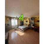 Rent 1 bedroom apartment of 35 m² in Capital City of Prague