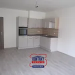 Rent 2 bedroom apartment of 57 m² in České Budějovice