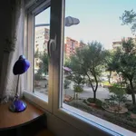 Rent a room in valencia