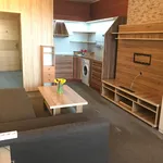 Rent 1 bedroom apartment of 28 m² in Frýdek-Místek