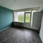 Huur 3 slaapkamer appartement van 60 m² in Spijkenisse