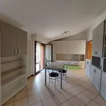 Rent 1 bedroom apartment of 40 m² in Bologna