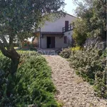 Rent 16 bedroom house of 230 m² in Capalbio