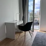 Rent 2 bedroom apartment of 31 m² in Berlin