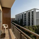 Rent 3 bedroom apartment in Sesto San Giovanni