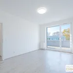 Rent 1 bedroom apartment in Chrudim