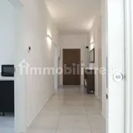 Rent 4 bedroom apartment of 90 m² in Bologna