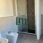 Rent 3 bedroom apartment of 55 m² in Fucecchio