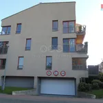 Rent 2 bedroom apartment of 45 m² in Rudná