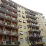 Rent 2 bedroom apartment of 50 m² in Roma