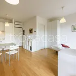 Rent 1 bedroom apartment of 30 m² in Firenze