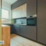 Rent 3 bedroom apartment of 110 m² in Turin