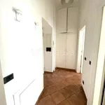 Rent 1 bedroom apartment of 46 m² in Milano