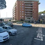 Rent 5 bedroom apartment of 100 m² in Roma