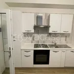 Rent 3 bedroom apartment of 65 m² in Anzio