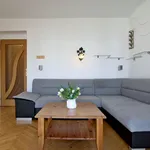 Pronajměte si 3 ložnic/e byt o rozloze 65 m² v budejovice