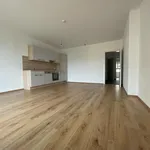 Rent 2 bedroom apartment of 60 m² in Graz