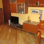 Rent 2 bedroom apartment of 55 m² in Monza