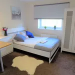 Rent 1 bedroom apartment in Coventry