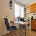 Pronajměte si 1 ložnic/e byt o rozloze 36 m² v Prague