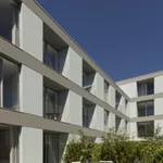 Rent 1 bedroom apartment of 52 m² in São Mamede, Porto