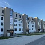 Rent 2 bedroom apartment of 67 m² in Wolfsburg