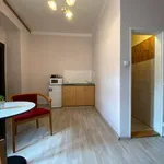 Studio o rozloze 34 m² v prague