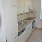 Rent 3 bedroom apartment of 59 m² in Schwerin