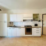 Rent 3 bedroom apartment of 62 m² in Riccione