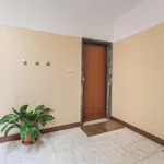 Rent 1 bedroom apartment in Lisbon