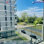 Pronajměte si 2 ložnic/e byt o rozloze 66 m² v Praha - Karlín