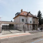 Pronajměte si 6 ložnic/e byt o rozloze 190 m² v Prague