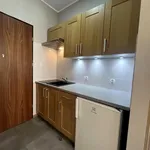 Rent 1 bedroom apartment of 25 m² in Poznan