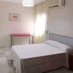 Rent a room in cordoba