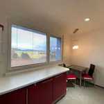 Rent 2 bedroom apartment of 58 m² in Česká Lípa