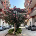 Rent 3 bedroom apartment of 85 m² in Bari