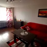 Rent 2 bedroom apartment of 50 m² in Dąbrowa Górnicza