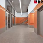 Pronajměte si 1 ložnic/e byt o rozloze 27 m² v Brno