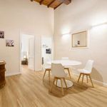 Rent 1 bedroom apartment of 50 m² in Firenze