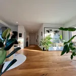 Rent 2 bedroom apartment of 80 m² in Düsseldorf