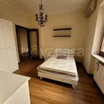 Rent 3 bedroom apartment of 100 m² in Piacenza