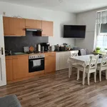 Rent 1 bedroom apartment of 50 m² in Nuremberg