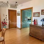 Rent 4 bedroom apartment of 90 m² in Treviso